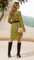 Elchic Wild Glam Cheetah Print Shirt Dress