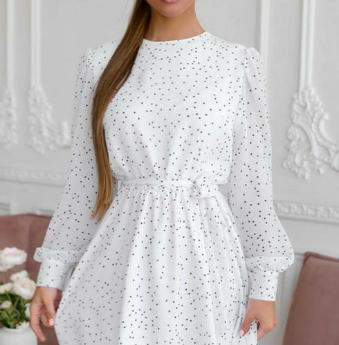 Charming White Polka Dot Print Skater Dress